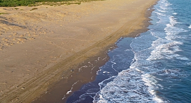 Küresel deniz yüzeyi sıcaklıkları nisan ve mayısta, en yüksek seviyeyi gördü