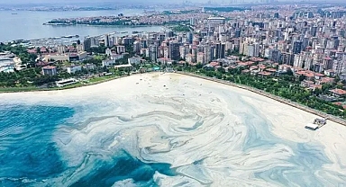 Marmara'da müsilaja çare... Pinalardan müjdeli haber geldi