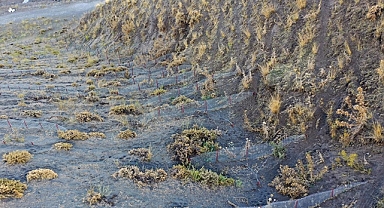 Orman teşkilatı geçen yıl 36 bin 88 hektarda erozyon çalışması yaptı