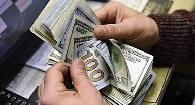 Özel sektörün dış borcu Nisan'da azaldı