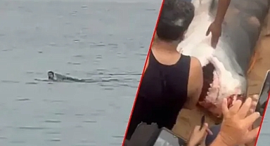 Rus turisti katleden köpek balığı yakalandı! Kalıntıları içinden çıktı