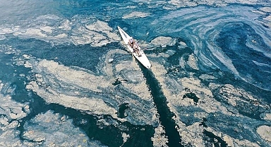Sıcaklık artarsa Marmara'da müsilaj tetiklenebilir