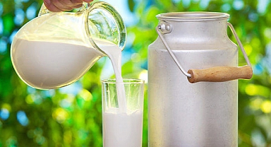 Süt tüketemiyor musunuz? İşte süte alternatif olan kalsiyum kaynakları...