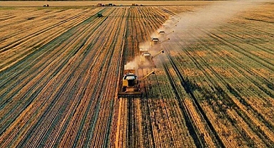 Tarım sektöründen tüm zamanların en yüksek ocak-mayıs ihracatı 