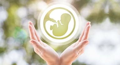 TÜP BEBEK TEDAVİSİNDE BESLENME BAŞARI ORANINI ETKİLEYEBİLİYOR