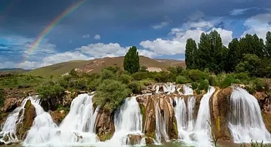 Van’daki Muradiye Şelalesi’nde büyük tehlike: Binlerce yıllık şelale ağaç mezarlığına dönüyor