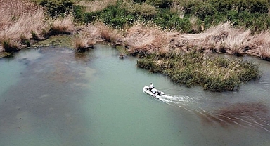 Van Gölü’ndeki inci kefali stoku 50 bin tona çıktı