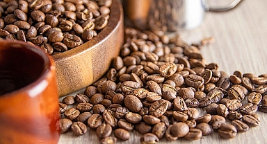Arabica'dan kadın istihdamına destek