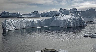 Buzulların erimesi Türkiye'yi çevreleyen denizlerdeki su seviyesini yükseltiyor