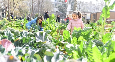 Kadıköy Bostanlarında Hasat Zamanı