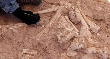 Kayseri’de bu yılki kazılarda 7,5 milyon yıllık zürafa kol kemiği bulundu