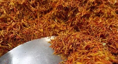 Saç diplerindeki egzama, kaşıntı ve iltihaplanmayı kökten çözüyor! Şampuanın içine 1 damla ekleyin