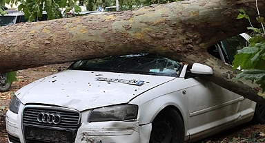 Sırbistan'da şiddetli yağış ve fırtına nedeniyle 1 çocuk hayatını kaybetti