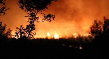 Türkiye orman yangınlarıyla mücadele ediyor! Tarım ve Orman Bakanlığı son durumu açıkladı