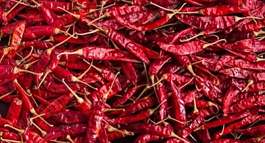 Acı bibere bakış açınızı değiştirecek araştırma! ABD'li bilim insanları ortaya çıkardı.