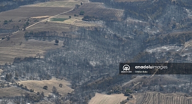Basın mensupları Çanakkale'deki orman yangınını havadan görüntüledi