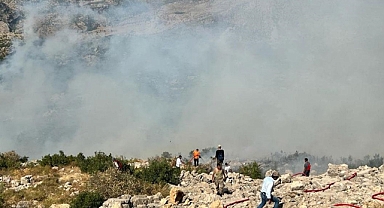 Diyarbakır'da çıkan orman yangınına karadan ve havadan müdahale ediliyor