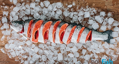 Dondurulmuş Ürünler ile Dört Mevsim Balık Tüketin