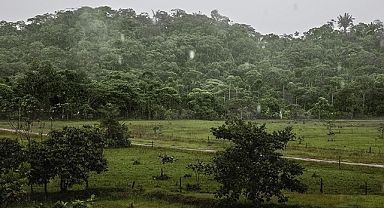 Güney Amerika'daki 8 ülkeden Amazon'daki ormansızlaştırmaya karşı mücadelede işbirliği