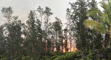 Hawaii'de devam eden orman yangınlarında ölenlerin sayısı 80'e çıktı ABD'nin Hawaii eyaletindeki Büyük Ada ve Maui Adası'nda devam eden 6 yangında hayatını kaybedenlerin sayısı 80'e yükseldi.