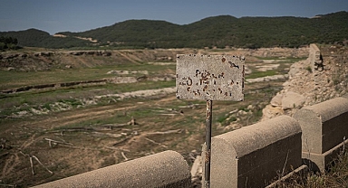 İspanya'nın Katalonya bölgesinde kuraklık nedeniyle acil durum ilanı