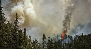 Orman yangınlarından çıkan dumanı solumak insan sağlığı için ne kadar tehlikeli?