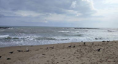 Sakarya'da denize girmek yasaklandı