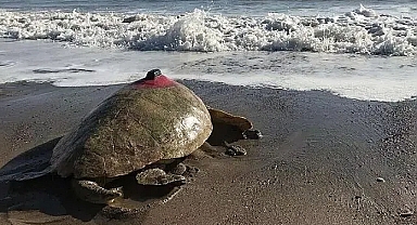 Uydu cihazıyla en uzun süre izlenen 