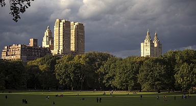 Yeşil alanlarda vakit geçirmek biyolojik yaşlanmayı yavaşlatıyor