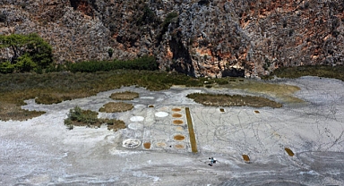 Suların çekildiği İztuzu Plajı'nda ortaya çıktı