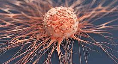 ABD'li doktor 150 yaşına kadar yaşamanın sırrını açıkladı