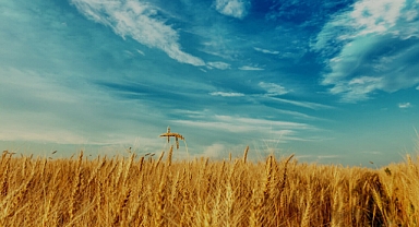 Anadolu Motor Stage 5 sertifikasına sahip ilk 5 şirket arasında yerini aldı 