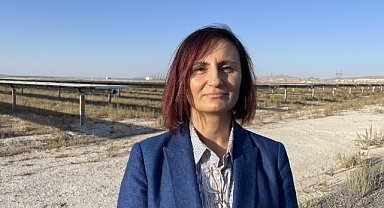 Güneş enerji santrali küçükbaş için otlatmaya açıldı