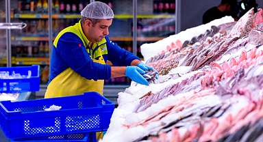 Balık Sezonu Başladı Taze, Güvenilir Balık Nasıl Seçilir?