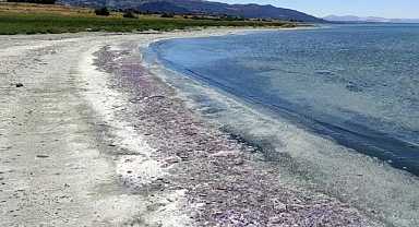 Burdur Gölü sahili morardı