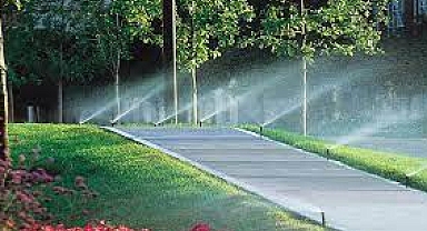 İstanbul'da bahçe ve peyzaj sulama abonelerinin su kullanımları geçici durduruldu