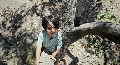  KOMİLİ; HER AĞAÇ ASLINDA BİR “SON AĞAÇ” DİYEREK HAYATA GEÇEN YENİ PROJESİ İLE ANIT ZEYTİN AĞAÇLARINA DİKKAT ÇEKİYOR…