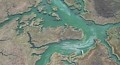 Kuruyan sulak alanlar Türkiye'nin su varlığını ve biyoçeşitliliğini tehdit ediyor