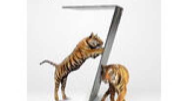 Bien Doğaya, Çevreye, Dünyaya Katkı İçin “Önce Tasarruf’ Diyor