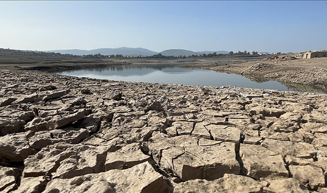 Bodrum'un su ihtiyacını karşılayan Mumcular Barajı yüzde 20'lik seviyeye  düştü - Çevre - Denge Sende | Türkiye'nin Dengeli Yaşam Platformu