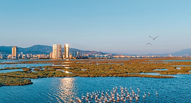 Doğa Derneği ‘Doğayı Savunanlar için Savunuculuk Rehberi’ Yayımladı.