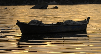 Ege Denizi'ndeki ekonomik balık türlerinin stokları tehdit altında ​​​​​​​
