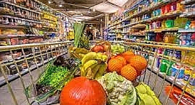 Gıda Güvenliği Derneği Başkanı Özden'den üreticilere kooperatifleşme çağrısı: