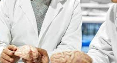 Bilim insanları bedenden bağımsız olan beyni canlı tutmayı başardı