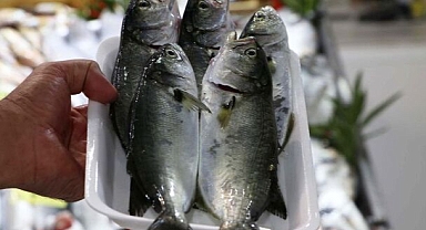 Kasım'da hangi balıklar yenir?