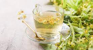 Kış mevsiminin gözde içeceği: Faydalarını duyan bardak bardak içiyor aktarlar yok satıyor. Ihlamurun hiç bilinmeyen faydası bulundu