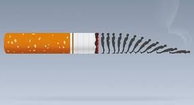 “Sigarayı hayattan silersek akciğer kanseri en nadir kanserlerden olur”