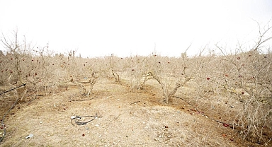 BM, Paris İklim Anlaşması'na göre açlığı bitirmek için 