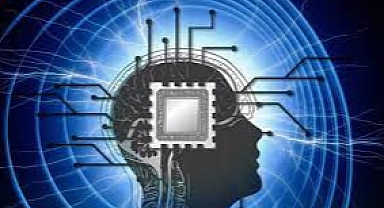 İnsan beyni dokusuyla 