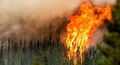 Küresel Karbon Bütçesi, dünyanın yedi yılda sürekli olarak 1,5°C'yi aşma yolunda ilerlediğini gösteriyor